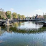 How to Master Bridge Psychology for Competitive Play