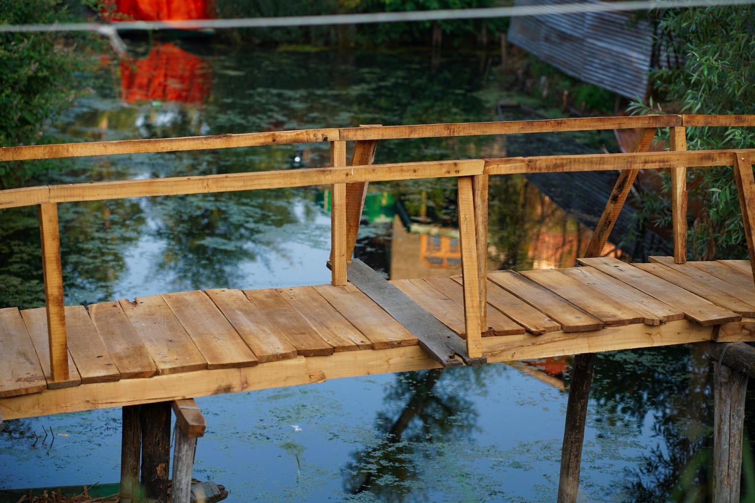 Qualification for bridge championships — Avoiding Common Disqualification Traps